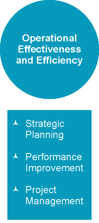 Operational Effectiveness and Efficiency