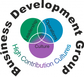 Business Development Group Inc.